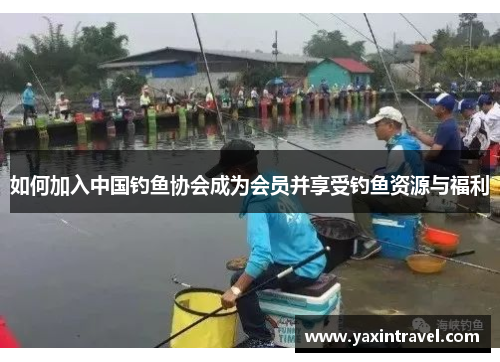 如何加入中国钓鱼协会成为会员并享受钓鱼资源与福利
